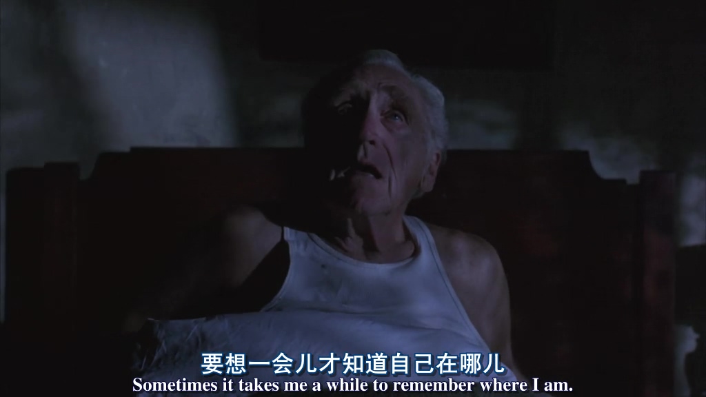 夜半惊醒的布鲁斯