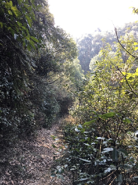 山路