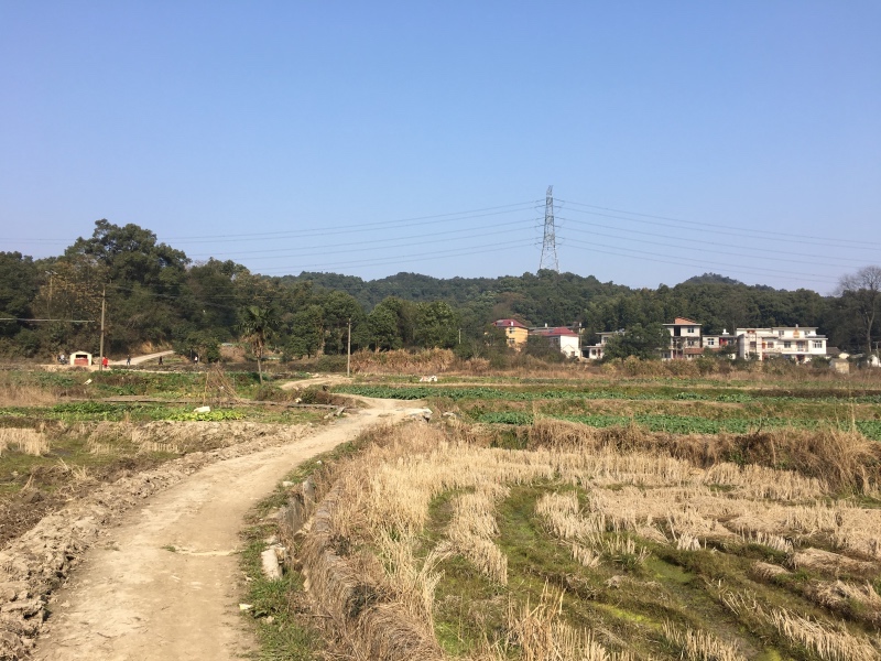 小路