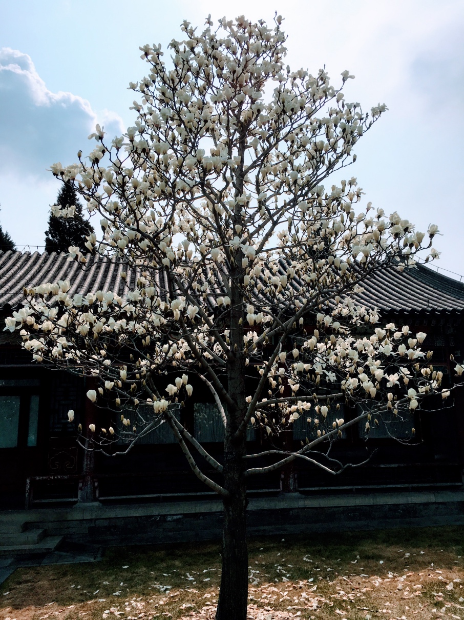 文昌院