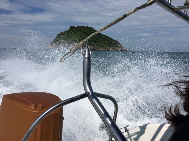 出海