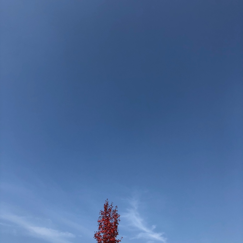 今日杭州的天空