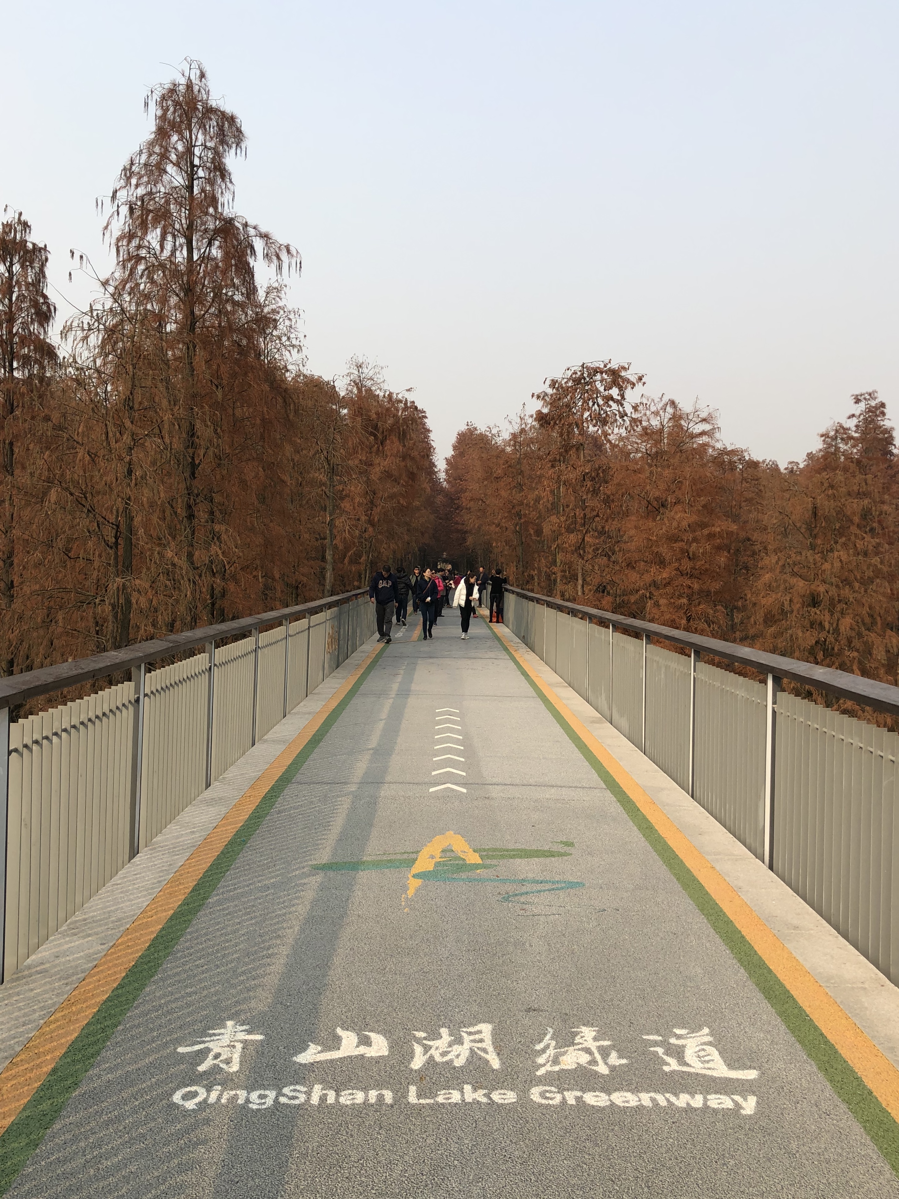 林中绿道