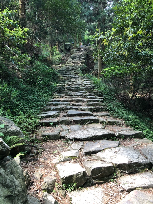 山道仰拍