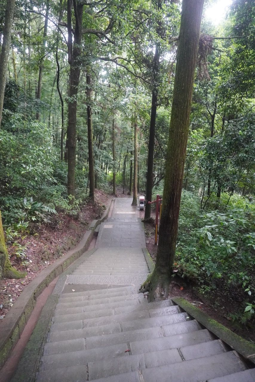 背两台电脑，苦啊