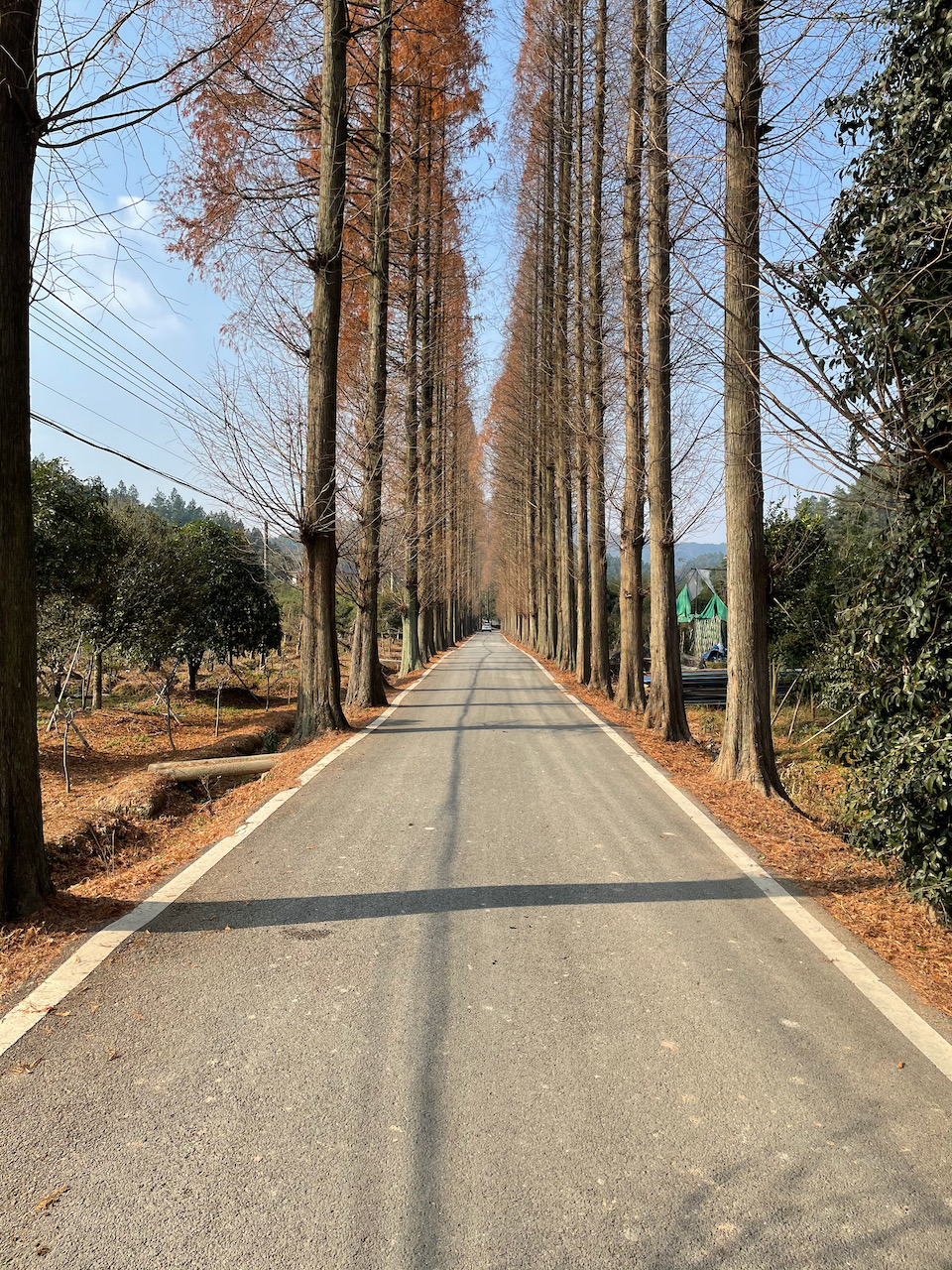 通往水库的路