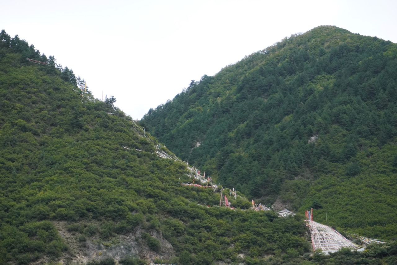 民宿对面山上的旌旗