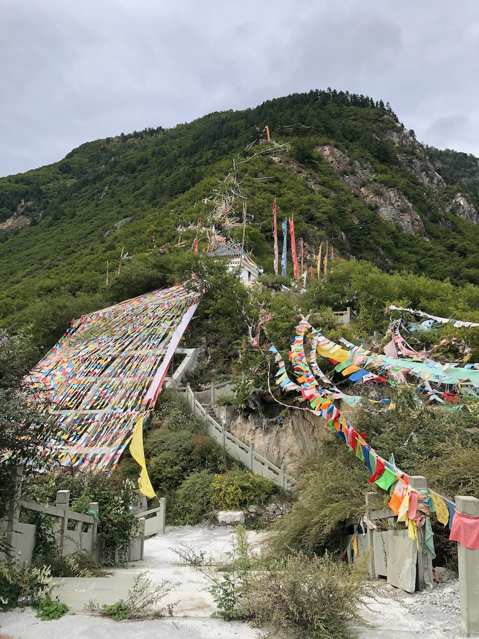 民宿对面山上