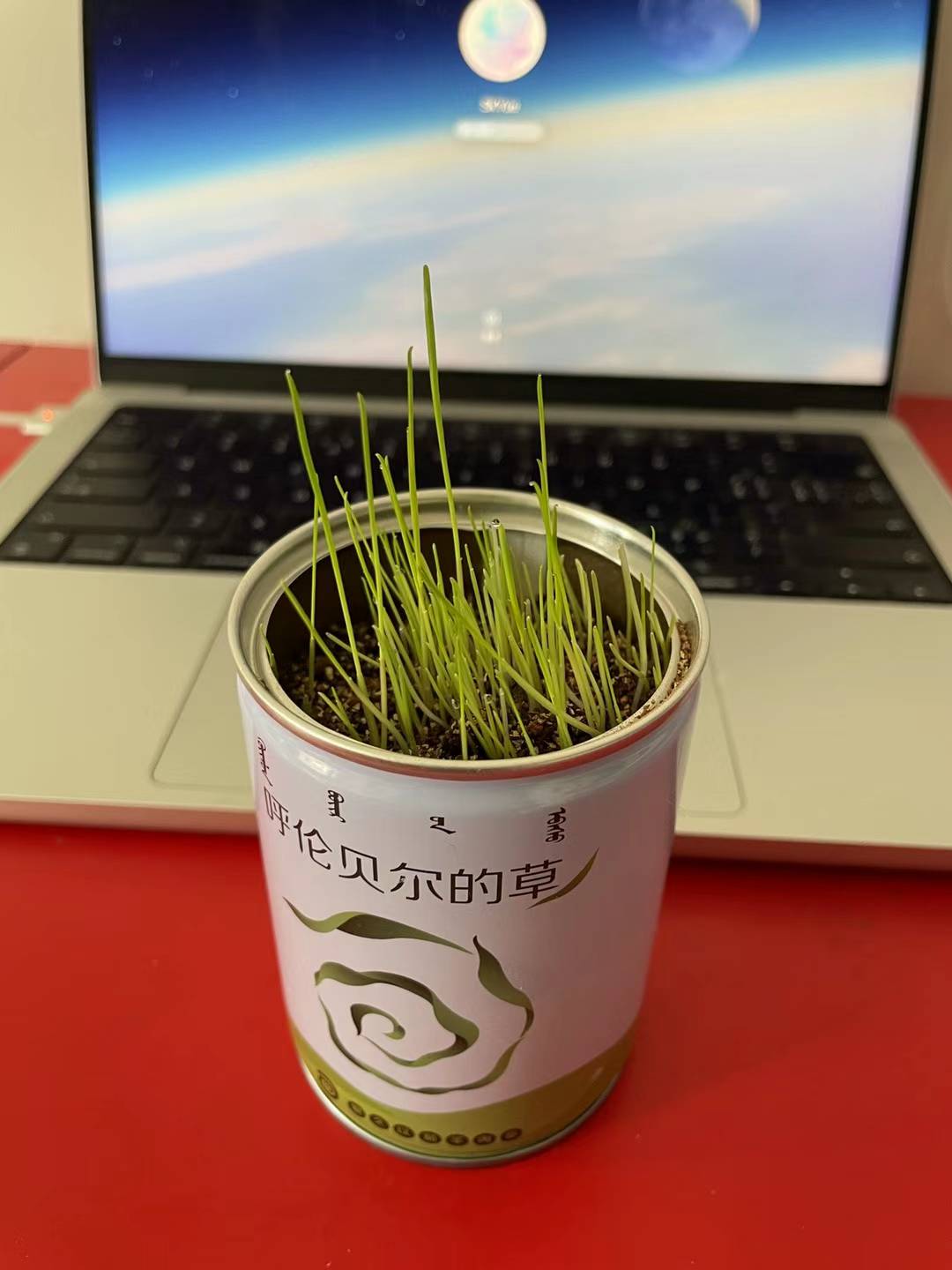 周五早上