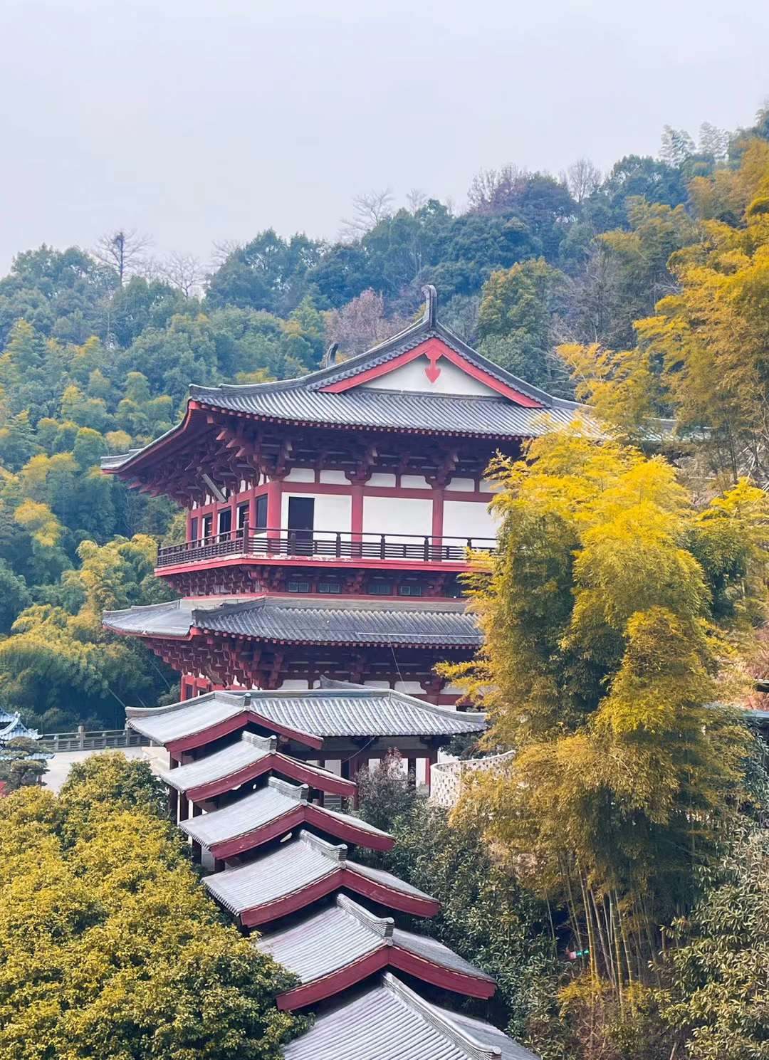网红角度