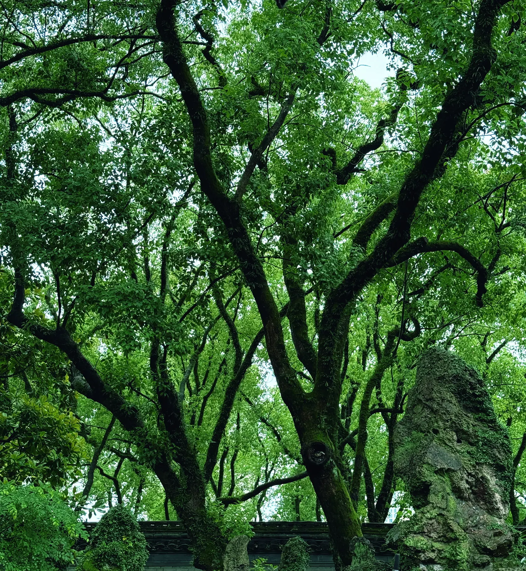 天一阁前