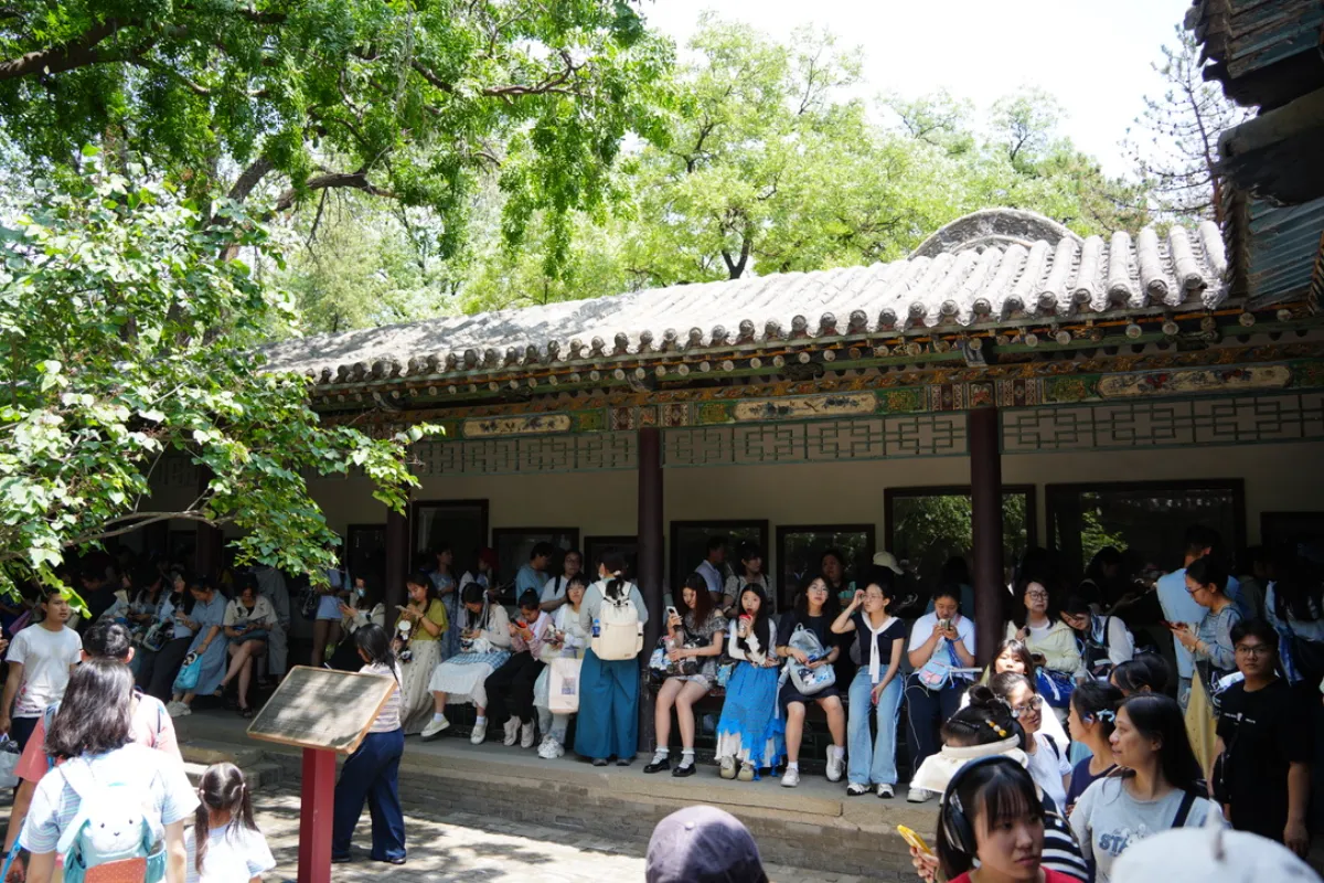 「周深」碑刻前排的长队