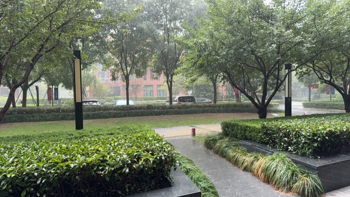 喝咖啡,遇暴雨