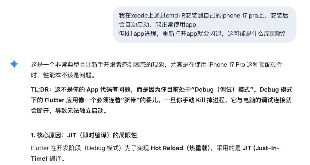Gemini对闪退问题的回复