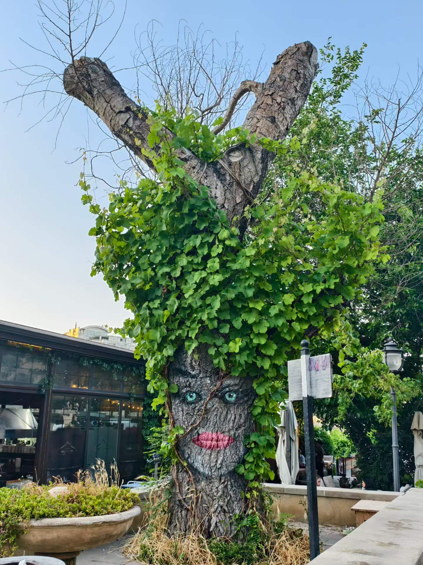 image-20260827-204254.webp
