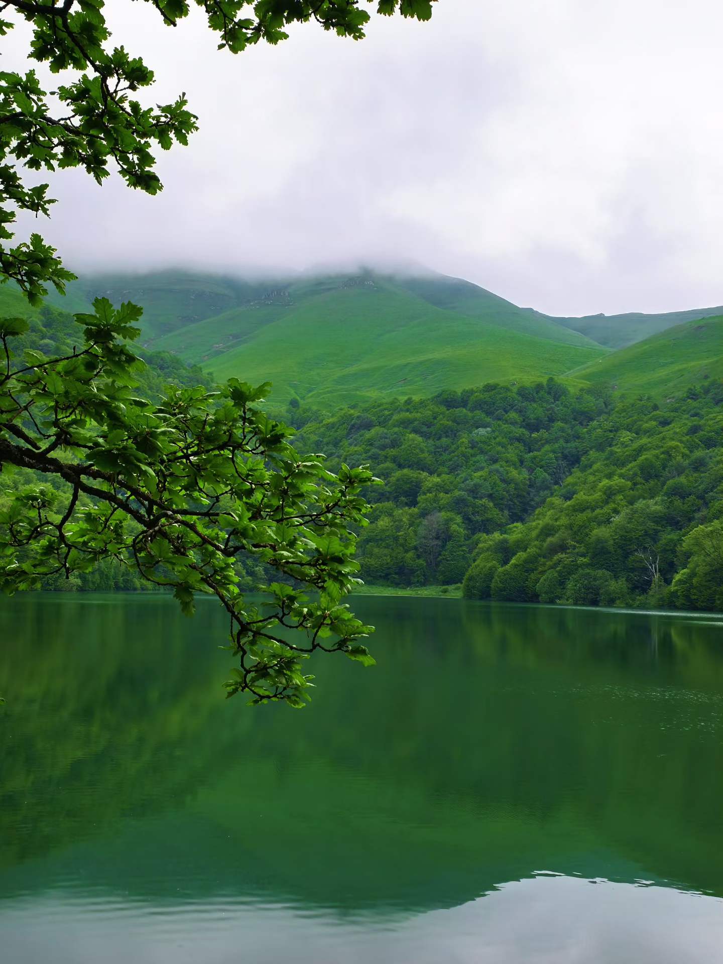 image-20260827-204570.webp