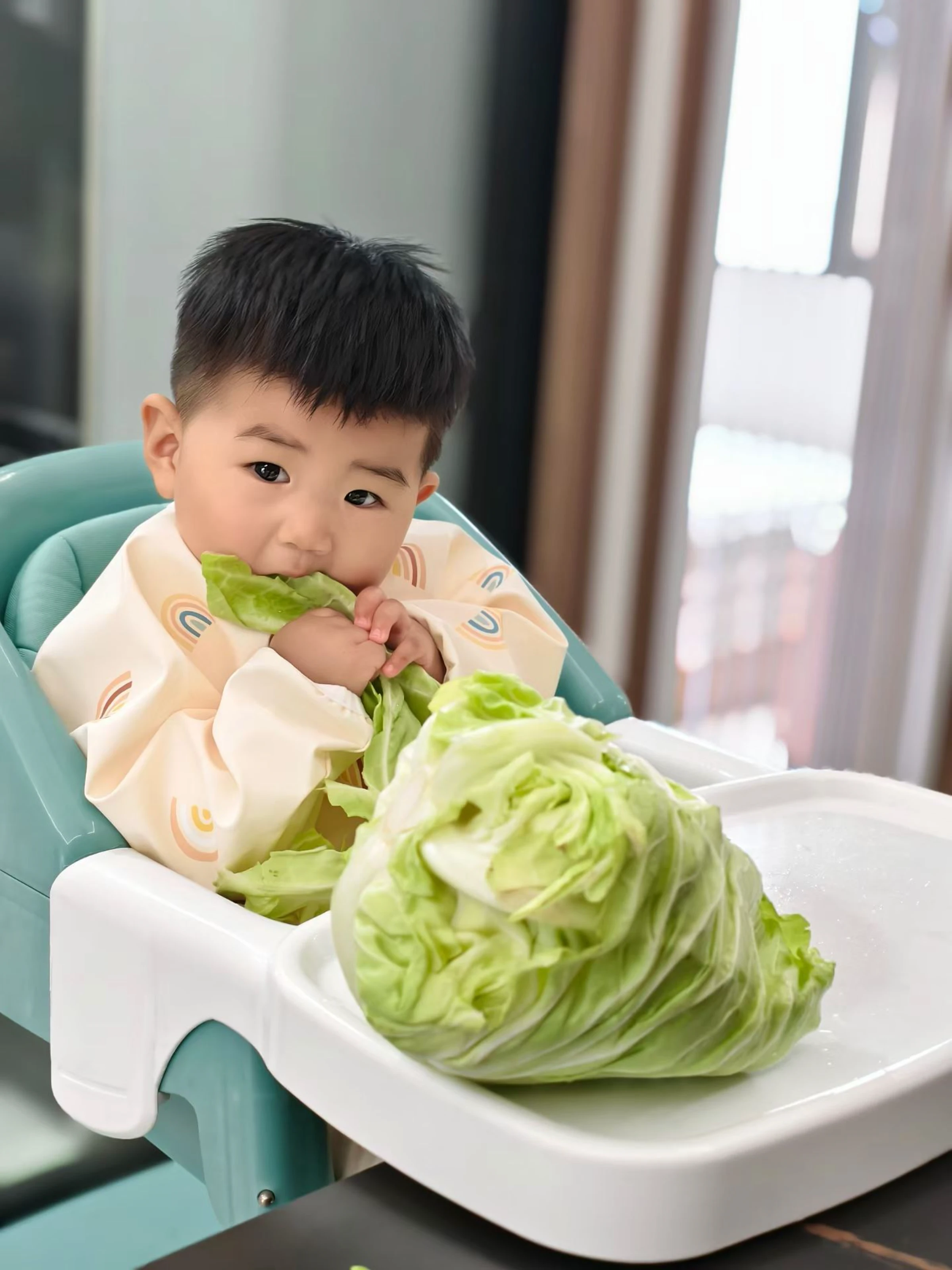 手撕包菜 手撕包菜