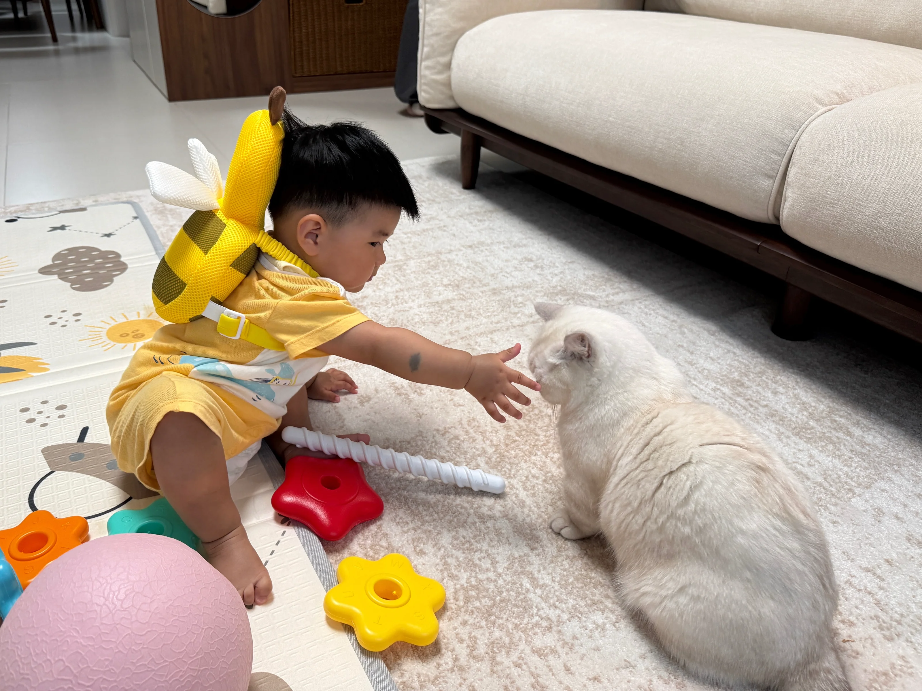 摸摸有财 摸摸有财